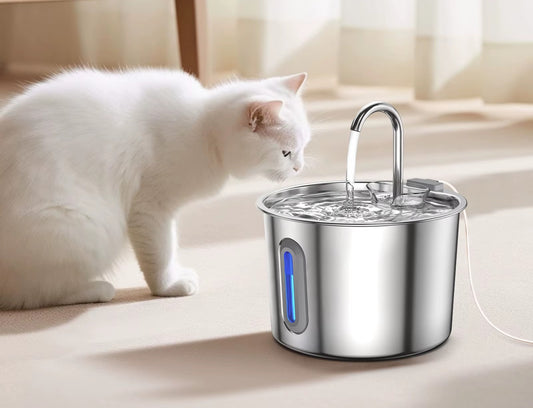 Purrstream Starter Bundle — Fountain + 4 Months of Filters (Save 20%)